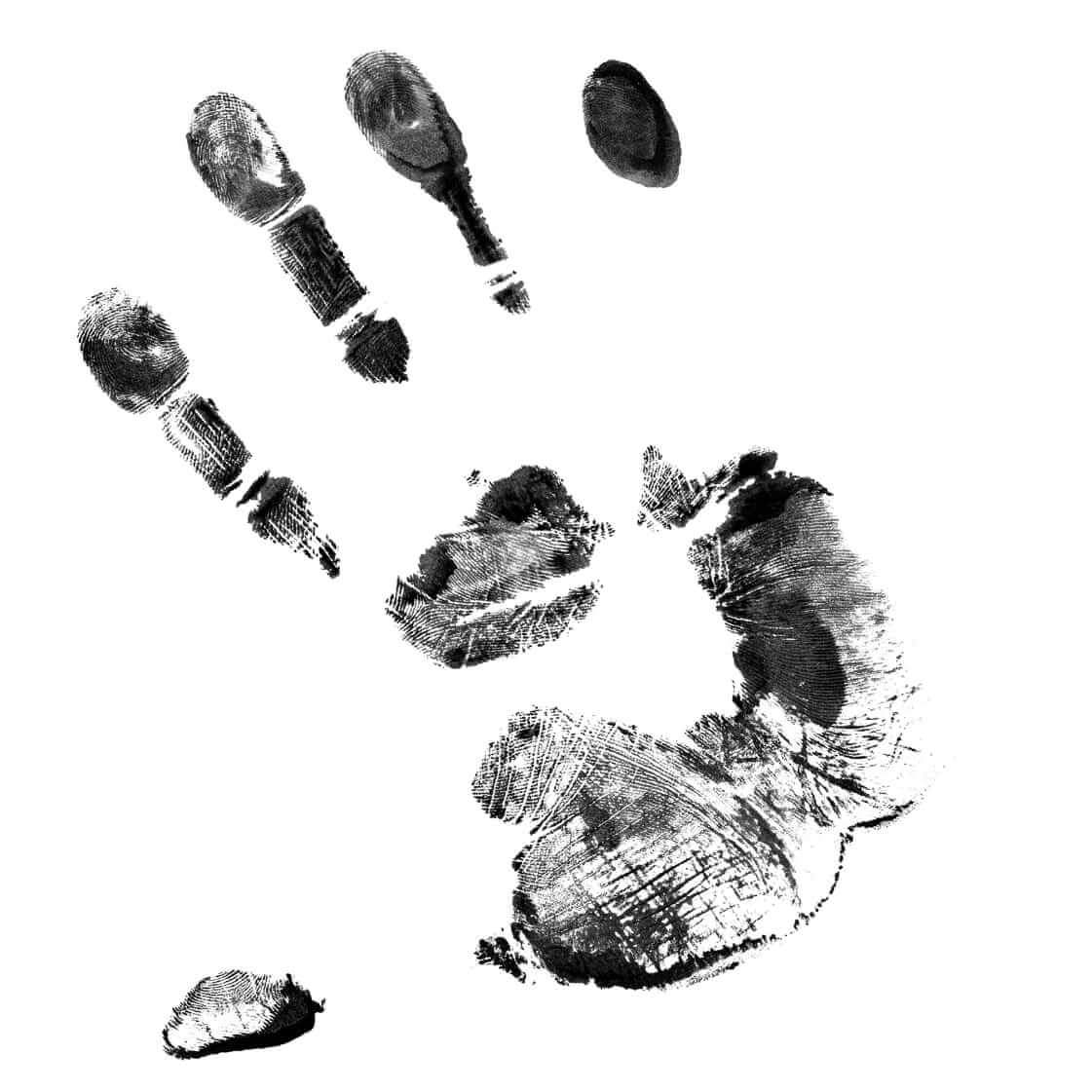 Food Photographer Davide Dutto - Foto d'Autore Italia