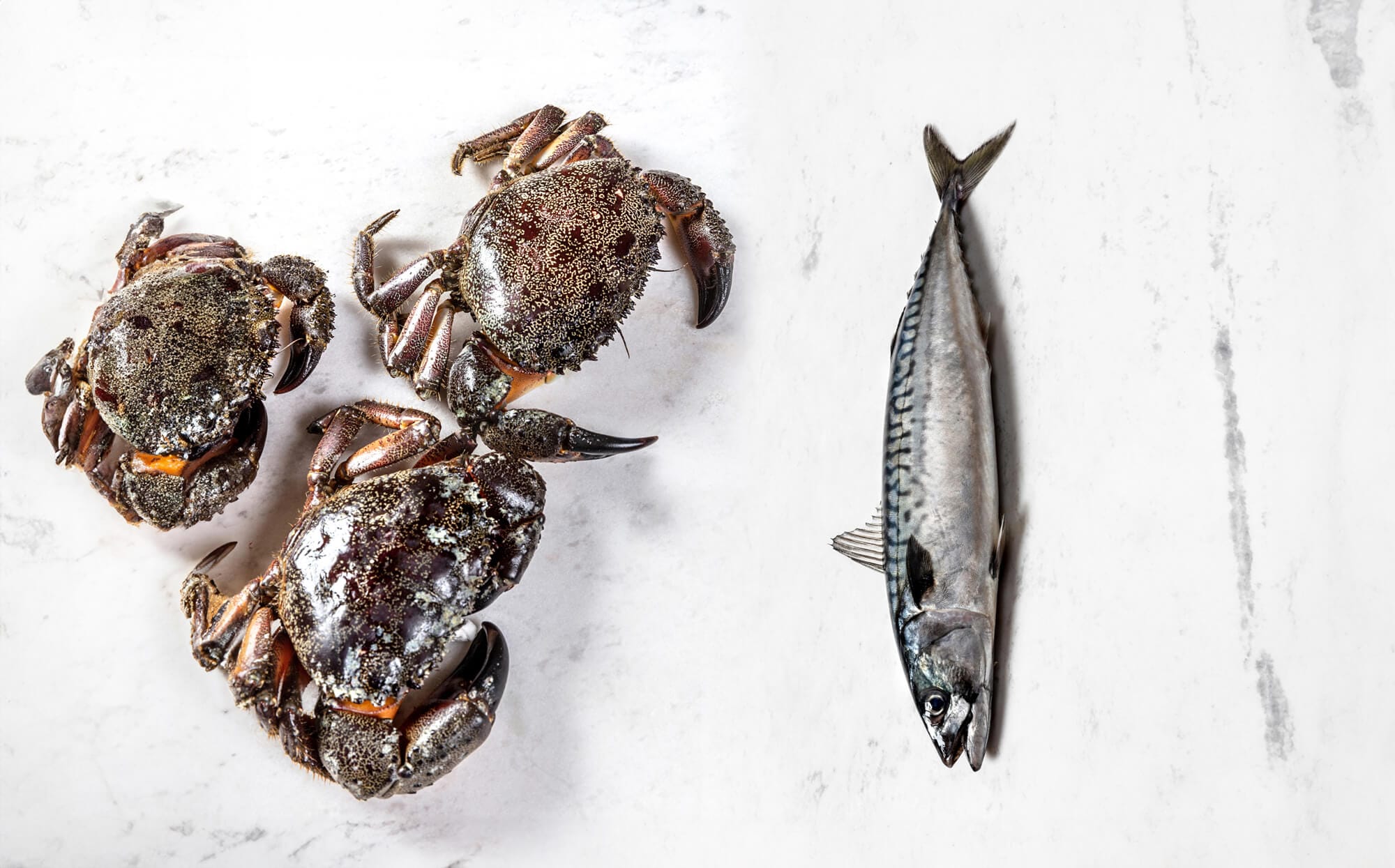 Fotografia still life - Food Photographer Davide Dutto - Fotografia di Food