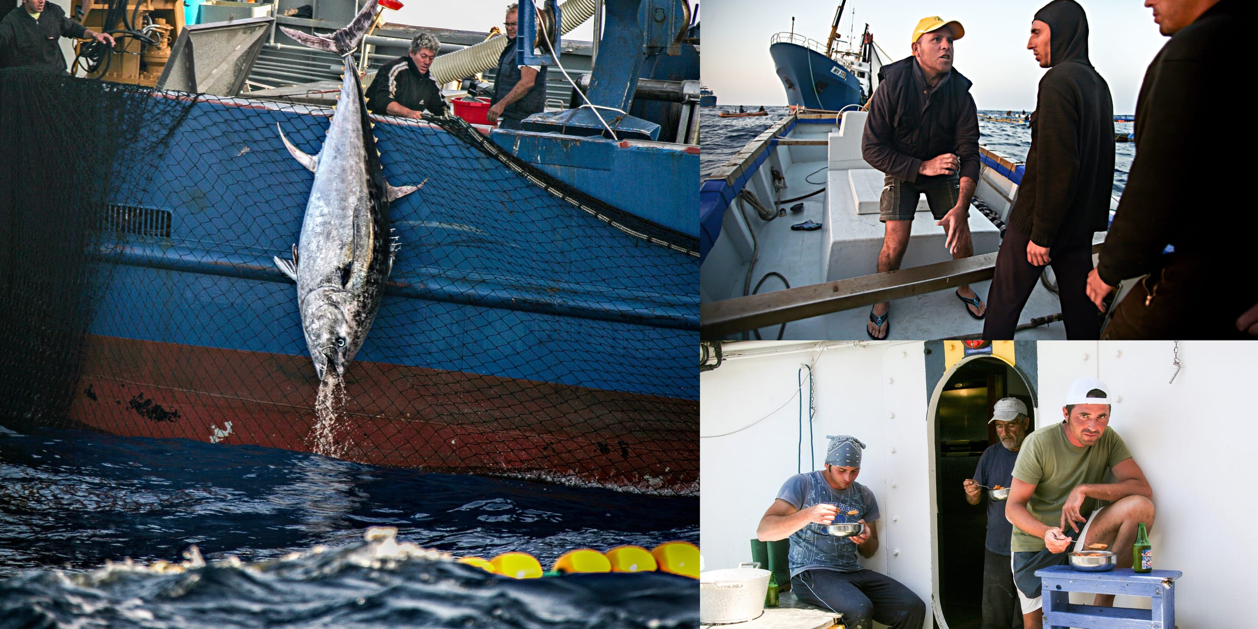 Saporireclusi Associazione Culturale Fossano