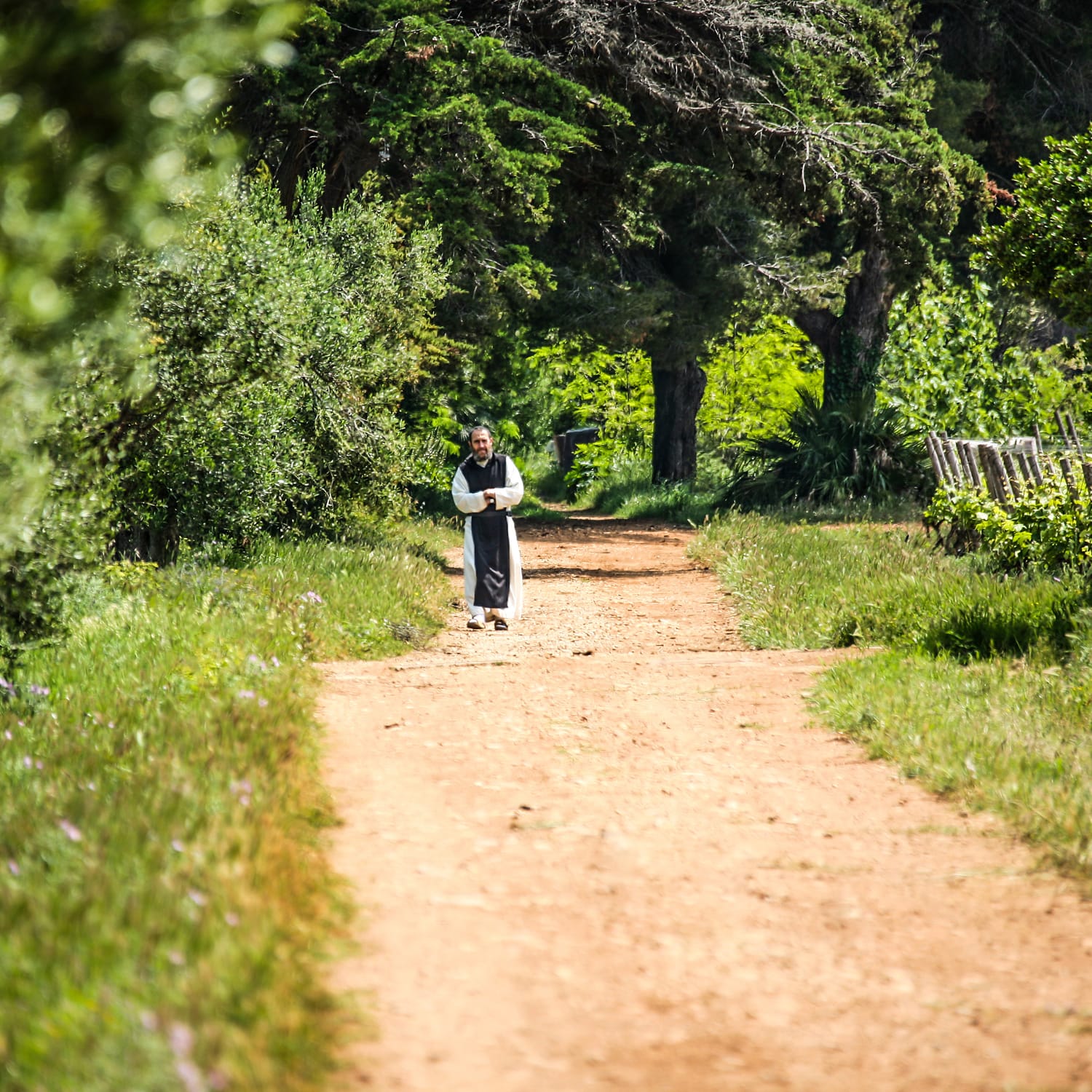 Davide Dutto Foto Fossano - Food Photographer